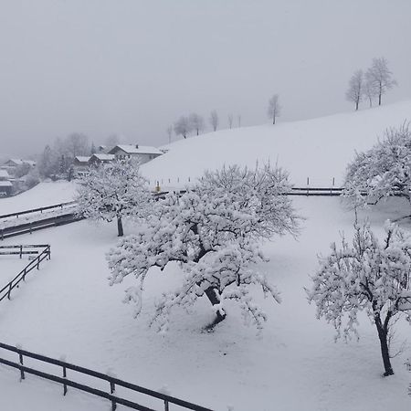 Landidyll Am Thiersee Eksteriør bilde