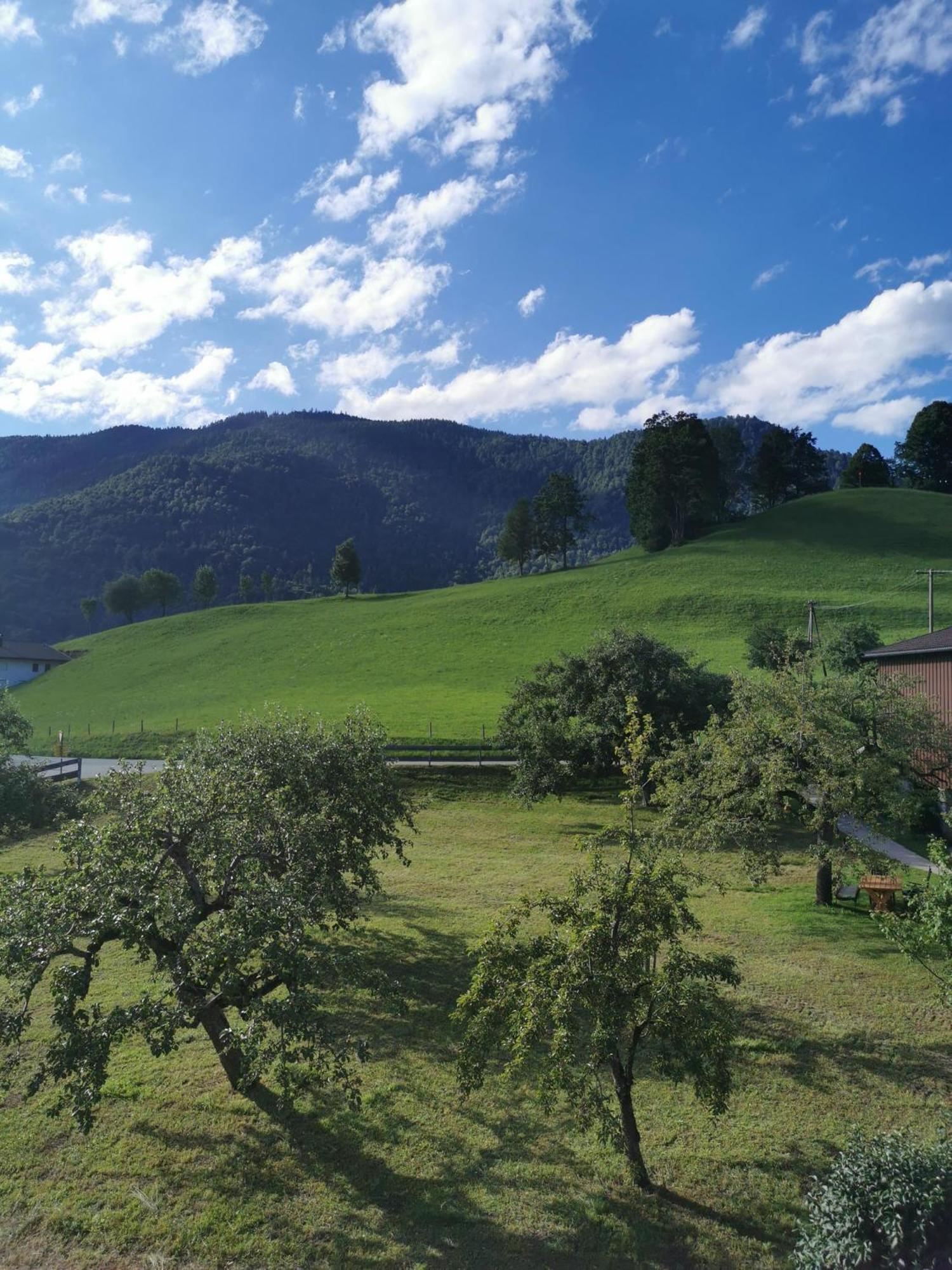 Landidyll Am Thiersee Eksteriør bilde