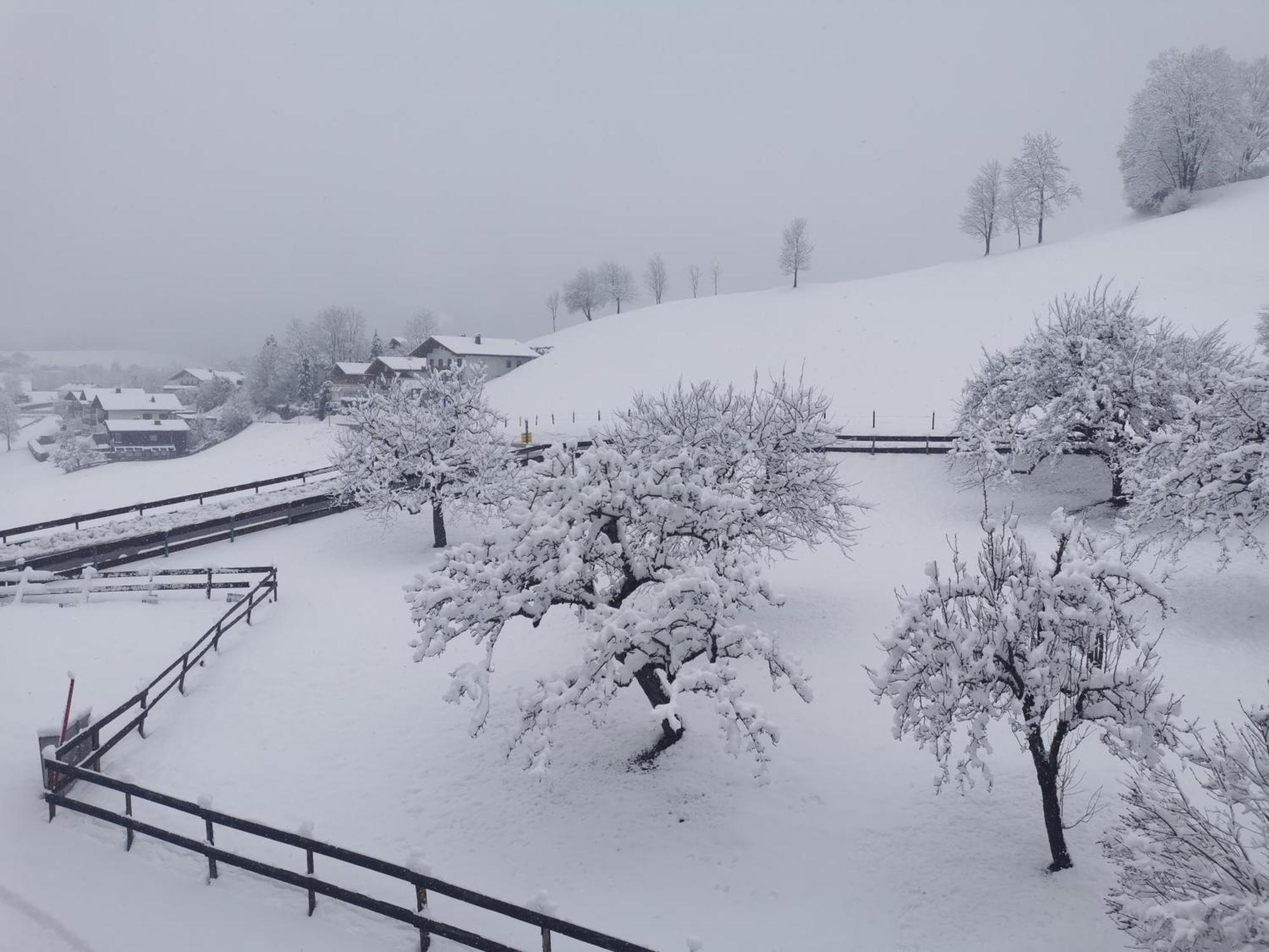 Landidyll Am Thiersee Eksteriør bilde